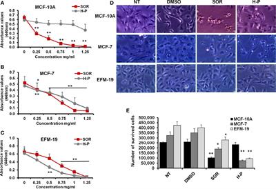 Effective Targeting of Raf-1 and Its Associated Autophagy by Novel Extracted Peptide for Treating Breast Cancer Cells